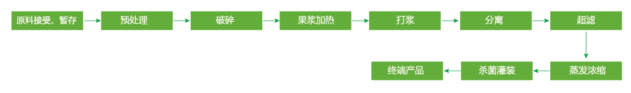 藍(lán)莓、草莓、桑葚濃縮汁